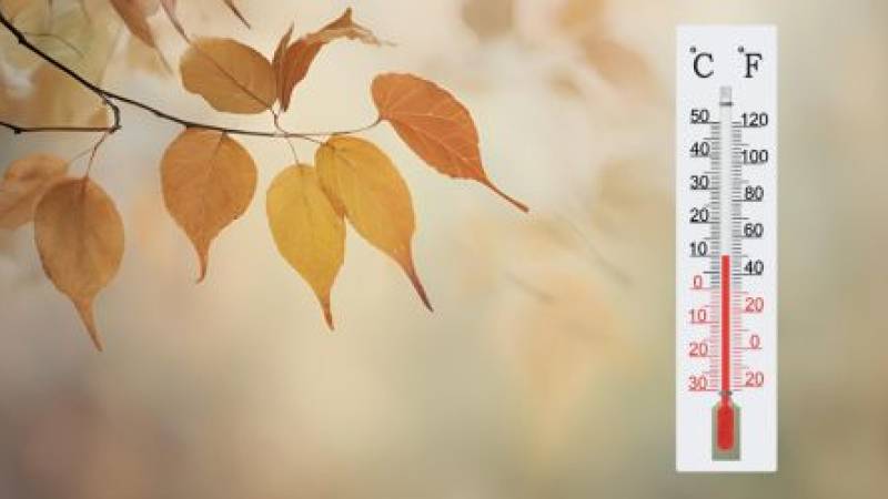 SEZON GRZEWCZY - wniosek o ciepło